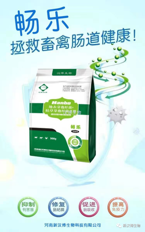 飼料禁抗后，斷奶仔豬腹瀉問題將更為嚴重，養豬人如何應對