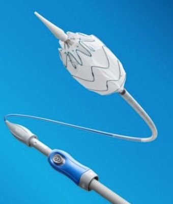 美敦力2019年財報深度解析 醫(yī)用帖劑業(yè)務表現與四大業(yè)務板塊全景圖